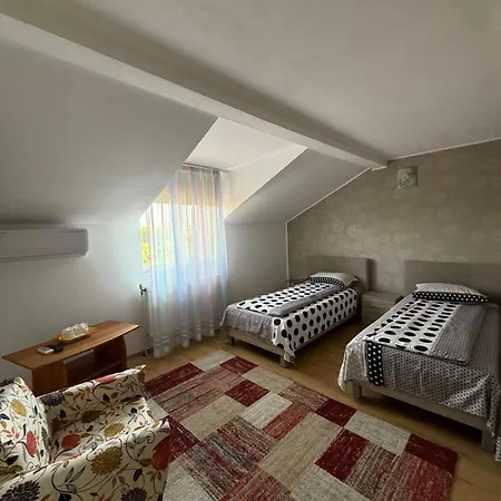 בית הארחה Pensiunea Vladut טימישוארה