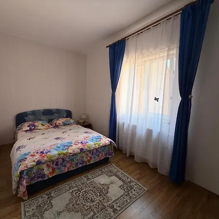 Pensiune Pensiunea Vladut Timişoara