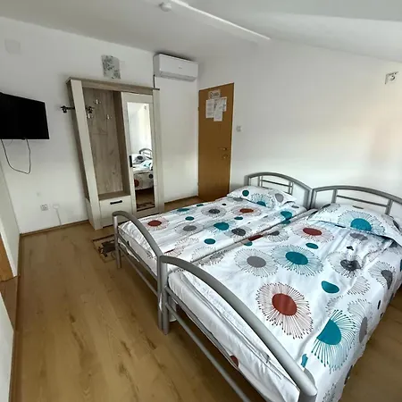 Guest house Pensiunea Vladut