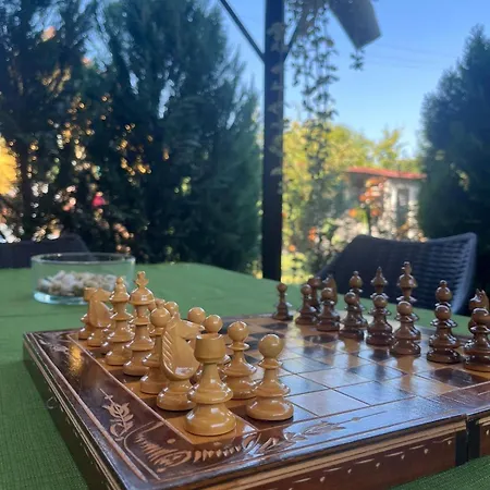 Guest house Pensiunea Vladut 3*