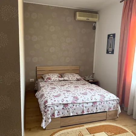 Pensiunea Vladut 3* Temesvár