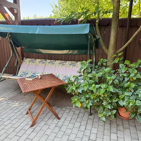 Pensiunea Vladut Guest house