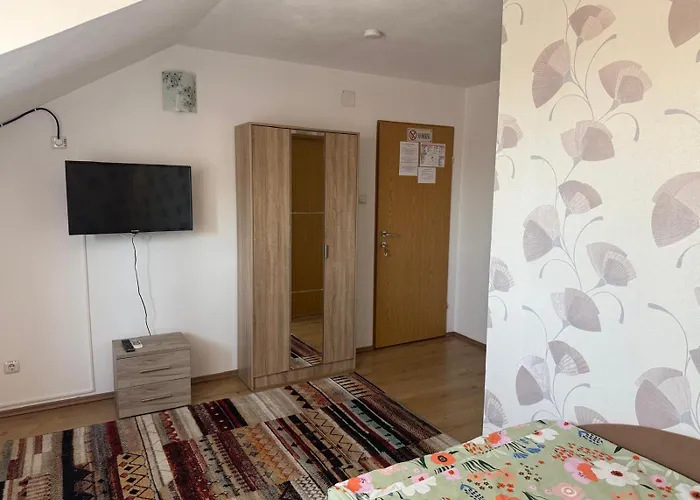 Pensiunea Vladut Guest house Timisoara