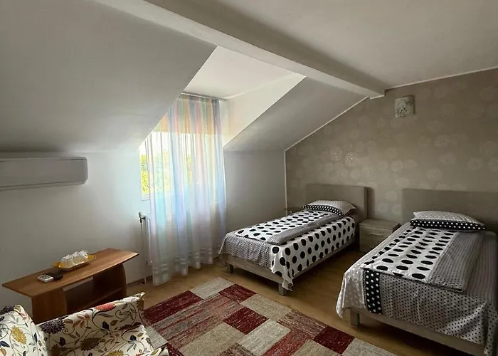 Guest house Pensiunea Vladut Timisoara