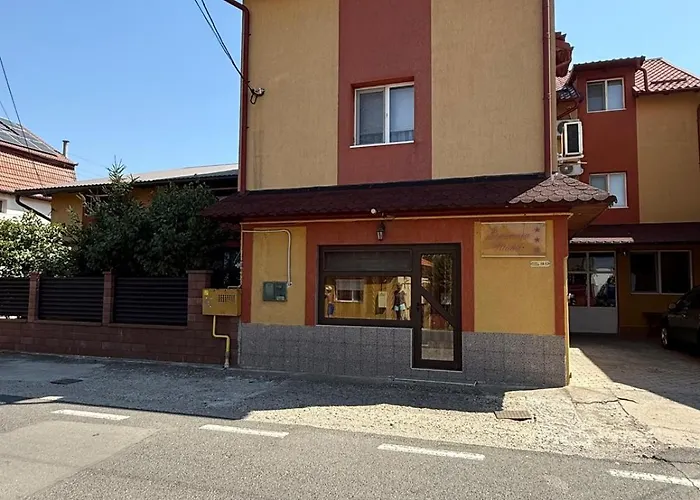 Pensiunea Vladut Timişoara