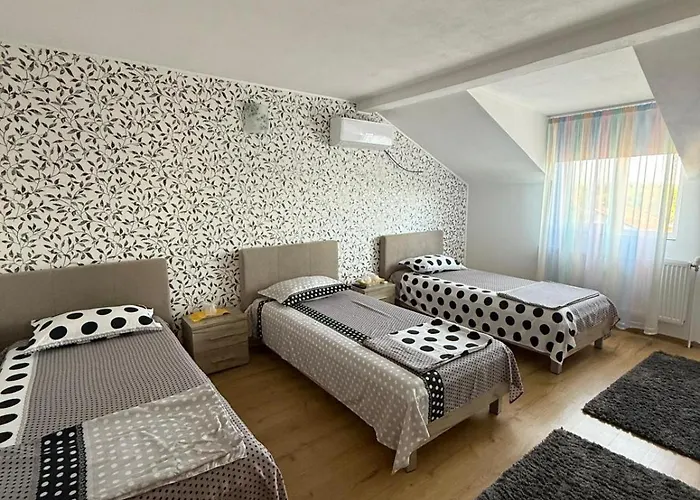 Pensiunea Vladut Guest house