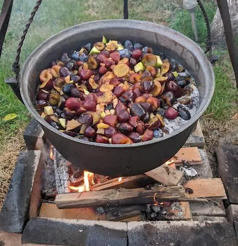 Pensiunea Vladut Pensiune