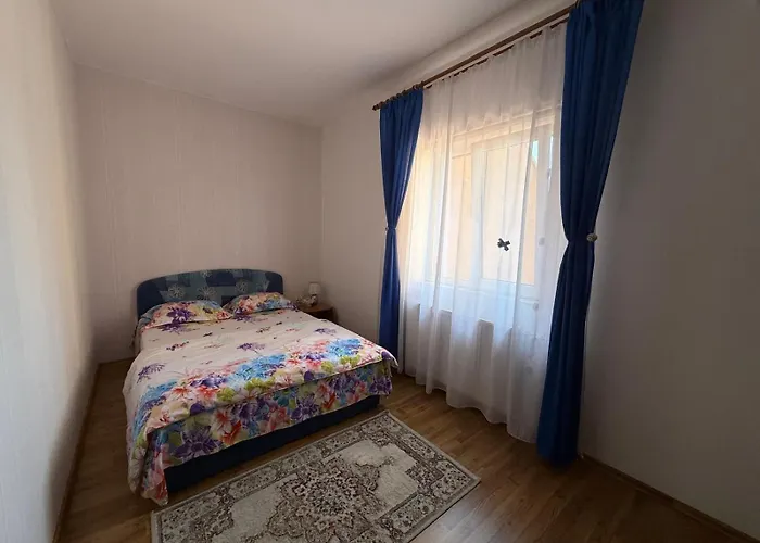 Guest house Pensiunea Vladut Timisoara