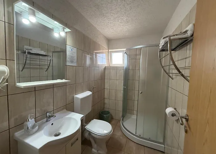 Pensiunea Vladut 3* Timişoara