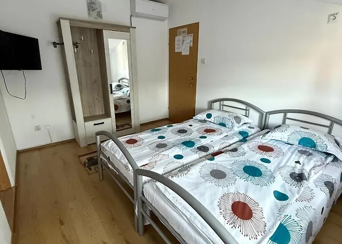 Guest house Pensiunea Vladut