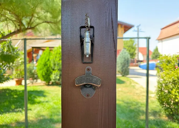 Pensiunea Vladut 3* Timişoara