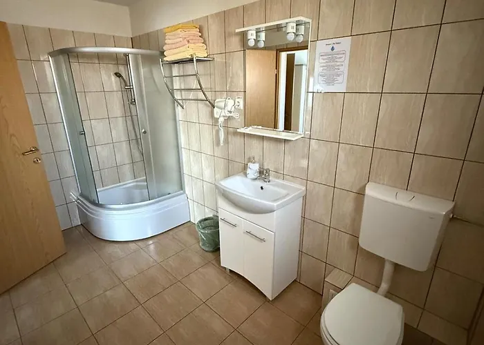 Pensiunea Vladut Pensiune 3*