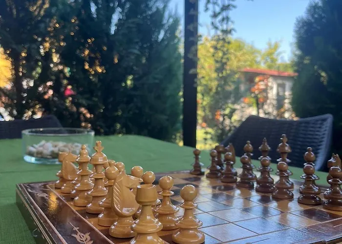 Guest house Pensiunea Vladut 3*