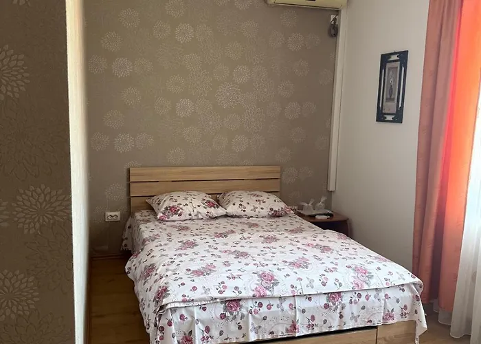 Pensiunea Vladut 3* Timişoara