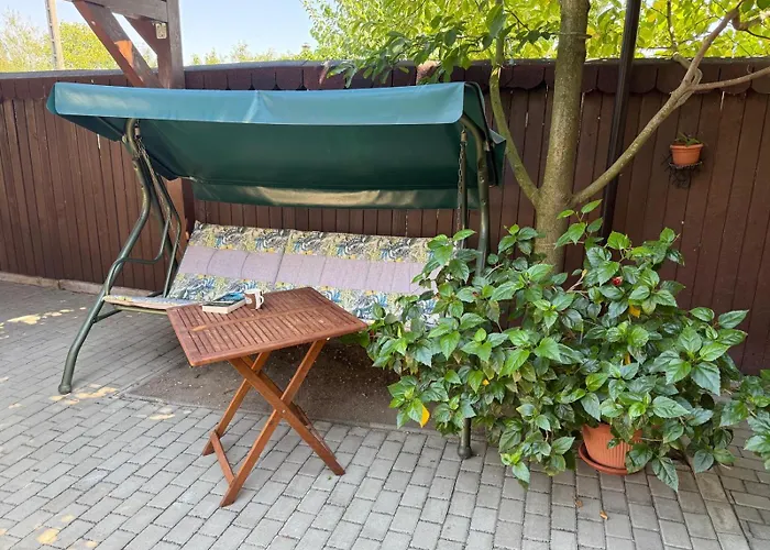 Pensiunea Vladut Guest house