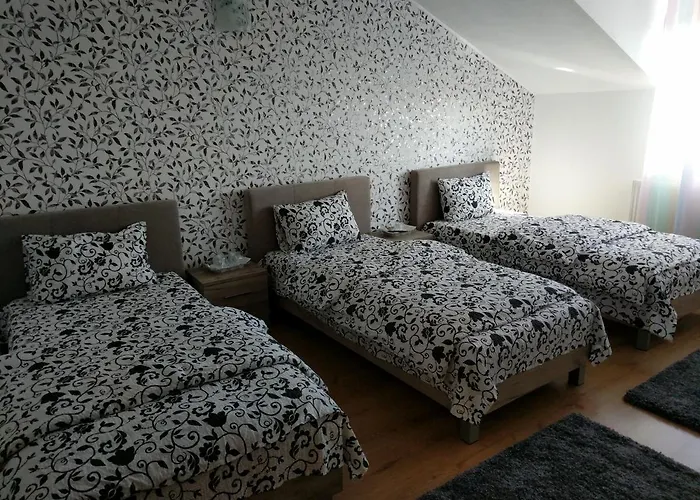 Pensiunea Vladut Guest house