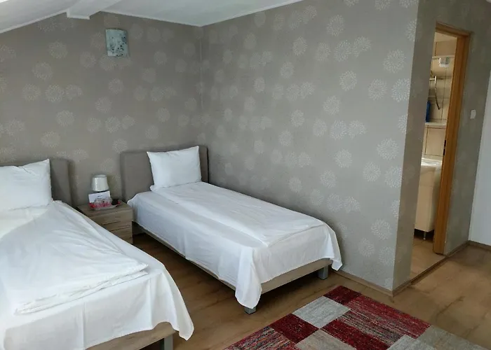 Pensiunea Vladut 3* Timisoara