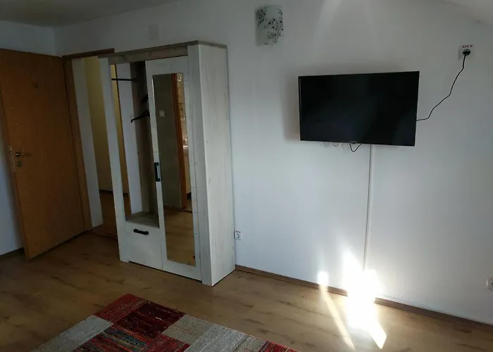 Pensiunea Vladut Timişoara