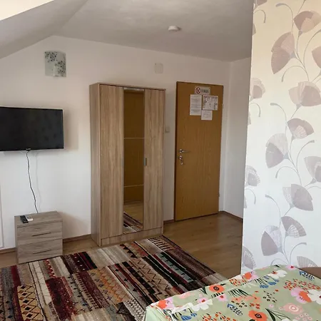 Pensiunea Vladut 게스트하우스 티미쇼아라