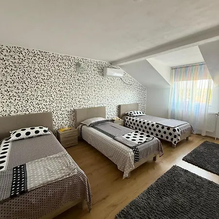 Pensiunea Vladut 게스트하우스