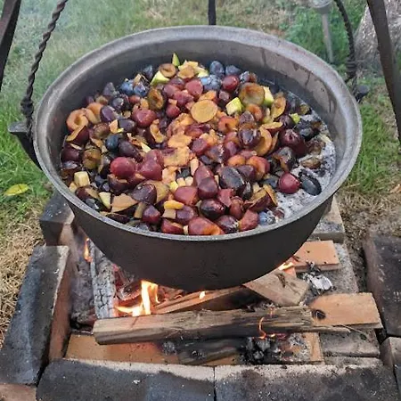 Pensiunea Vladut 게스트하우스