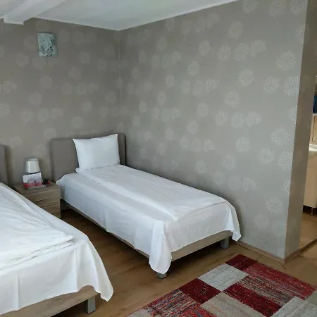 Pensiunea Vladut 3* 티미쇼아라